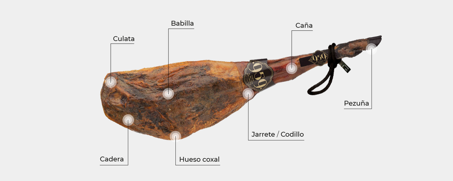 Cómo cortar jamón ibérico de bellota: Guía completa 4 partes del jamon ibérico de bellota